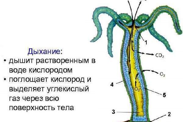 Ссылка кракен kr2web in