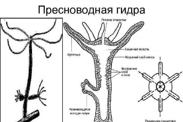 Ссылка на сайт гидра в тор браузере