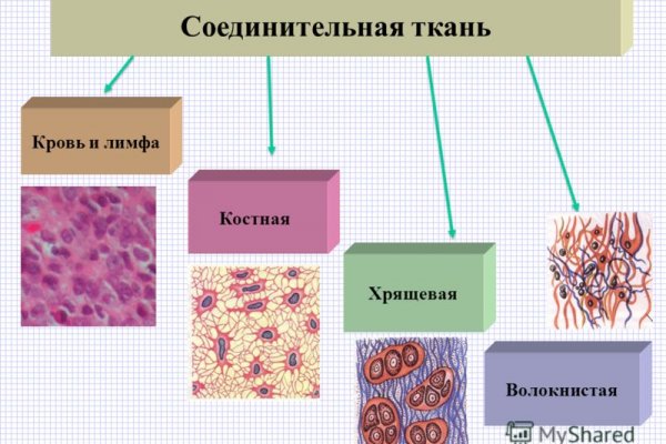 Kraken ссылка актуальная